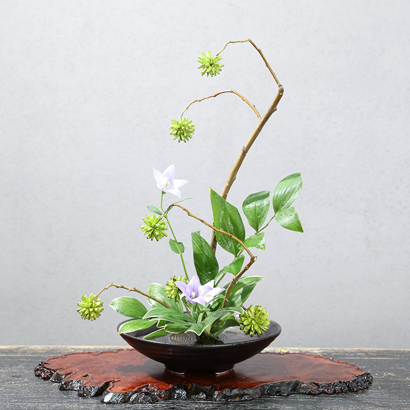 Sapo japonês Vaso Cerâmica Bou - Ikebana Vase Kenzan avaliação e preço