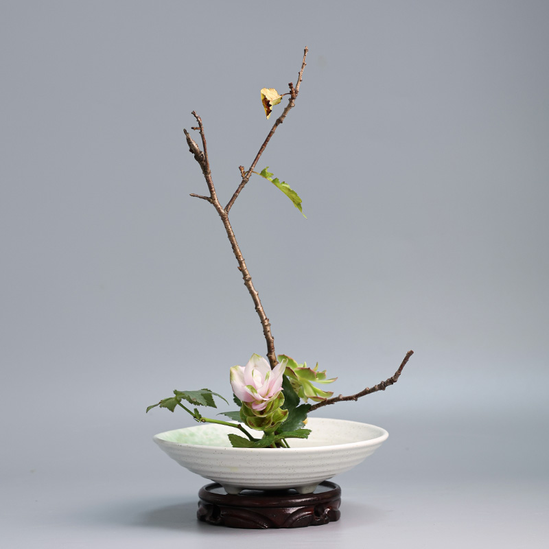 Sapo japonês Vaso Cerâmica Bou - Ikebana Vase Kenzan avaliação e preço